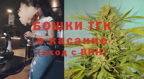 гашик Богородск