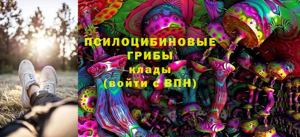 гашишное масло Богородицк