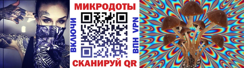 как найти   Красково  Галлюциногенные грибы Psilocybe 